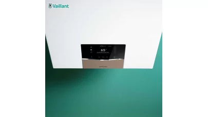 Vaillant ecoTEC plus IoniDetect_2.jpg