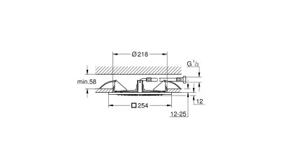 Grohe RSH F-series 10" ceiling shower 2.