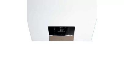 Vaillant ecoTEC plus IoniDetect_2