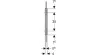 Geberit 115.211.CD.1_3